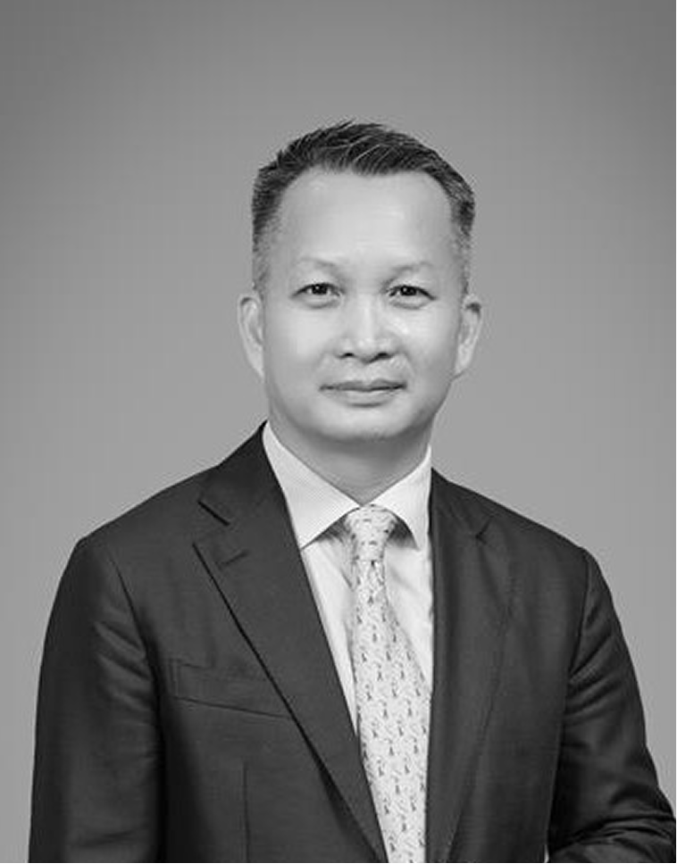 Hoang Lien Son